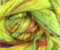 Preview: multicolor Merino-Seide-Kammzug "Equinox"