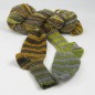 Preview: Lion Socks - Merinosockenwolle 100 g "Indian Summer self-striping"