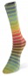 Preview: Paint Sock (Laines du Nord) -60-