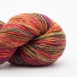 Preview: Lion Socks - Merinosockenwolle 100 g "Brittas Favourite self-striping"