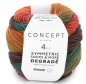 Preview: Degradé Symetric Socks (Katia) -81-