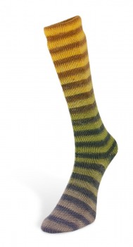 6ply Paint Sock (Laines du Nord) -2-