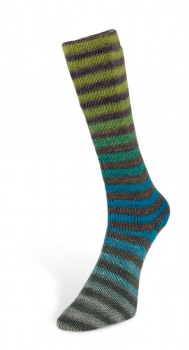 6ply Paint Sock (Laines du Nord) -3-