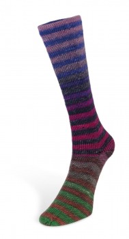 6ply Paint Sock (Laines du Nord) -4-