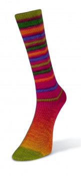 Infinity Sock (Laines du Nord) -12-