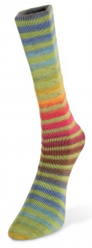 Paint Sock (Laines du Nord) -60-