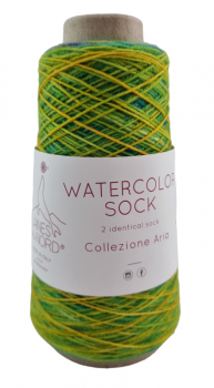 Watercolor Sock (Laines du Nord) -100-