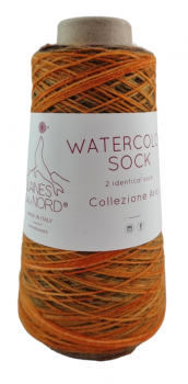 Watercolor Sock (Laines du Nord) -103-