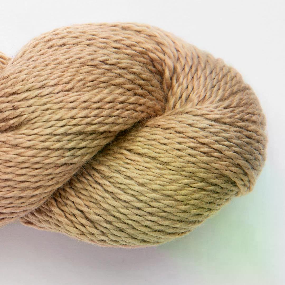 Macadamia - 1818
