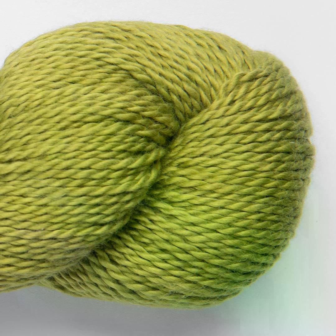 Moss - 1804