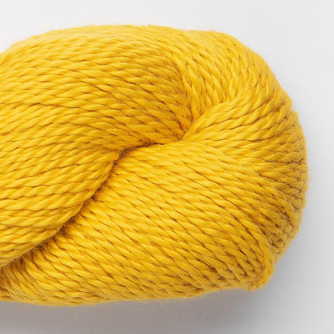 Sunshine - 1805