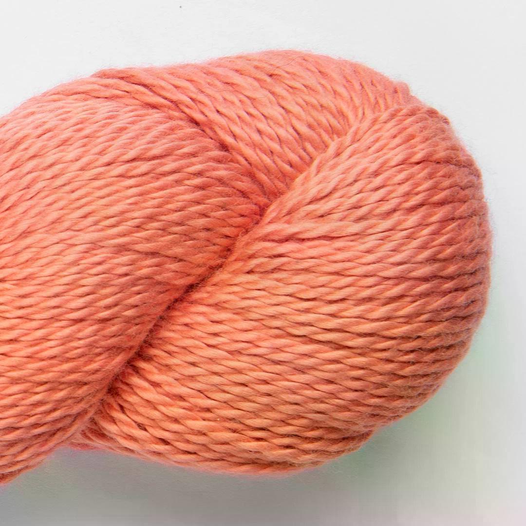 Coral - 1808