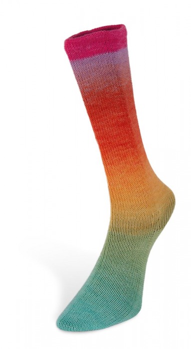 Harmonious Sock (Laines du Nord) -1-