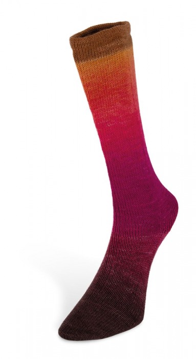 Harmonious Sock (Laines du Nord) -8-