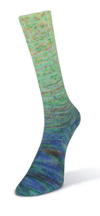 Paint Gradient Sock (Laines du Nord) -16-