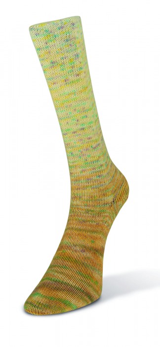 Paint Gradient Sock (Laines du Nord) -17-