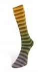6ply Paint Sock (Laines du Nord) -2-