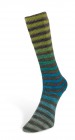 6ply Paint Sock (Laines du Nord) -3-
