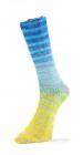 6ply Paint Sock (Laines du Nord) -10-