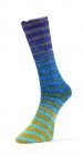 6ply Paint Sock (Laines du Nord) -11-