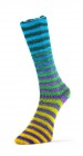 6ply Paint Sock (Laines du Nord) -8-