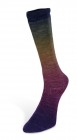 Harmonious Sock (Laines du Nord) -3-