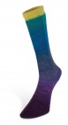 Harmonious Sock (Laines du Nord) -7-