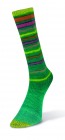 Infinity Sock (Laines du Nord) -13