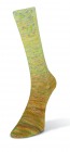 Paint Gradient Sock (Laines du Nord) -17-