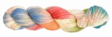 Huasco Sock von Araucania Fb. 1055